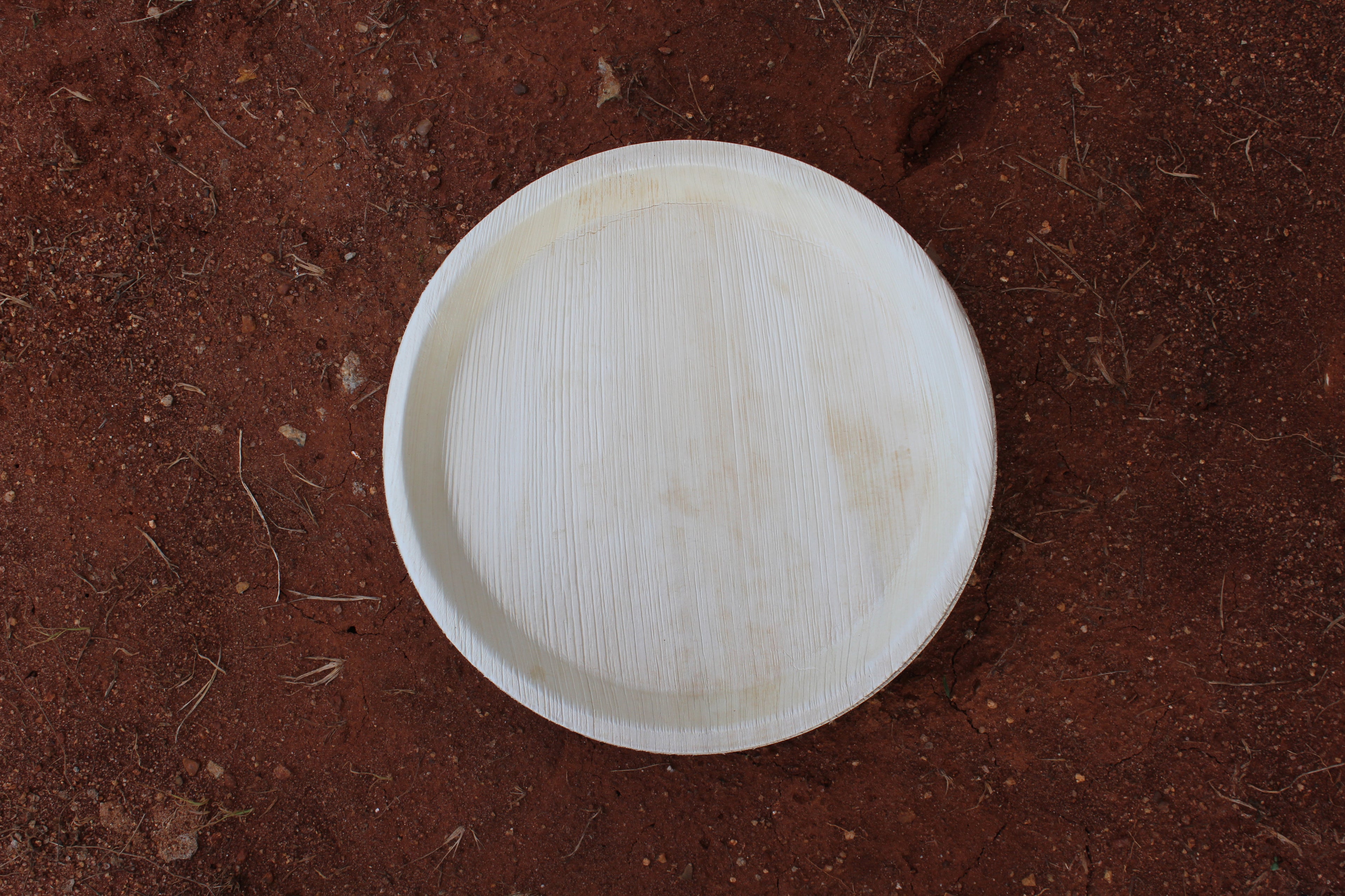 12 inch Round Areca Palm Leaf Plate pack of 25