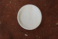 10 inch Round Plate Pack of 25