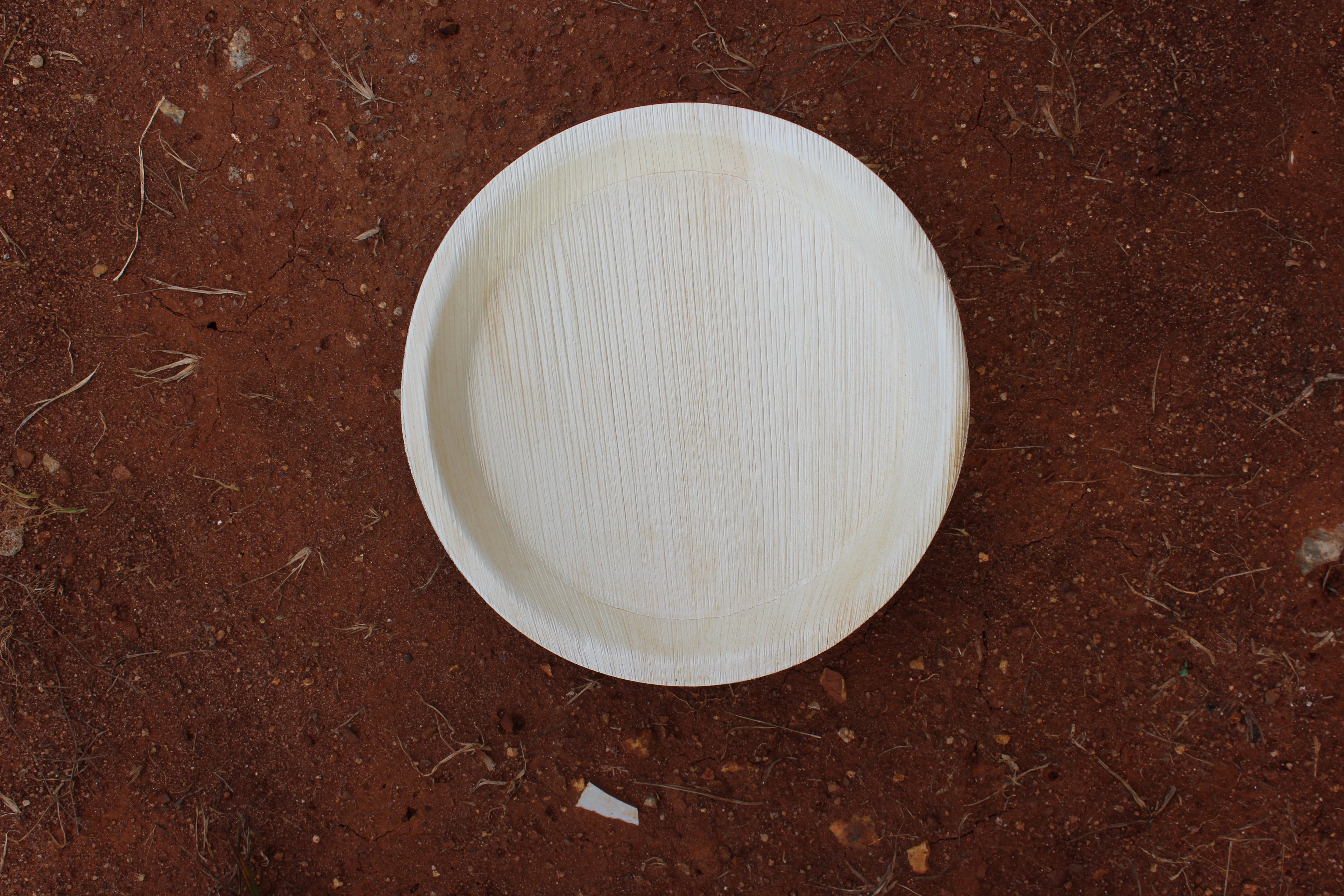 10 inch Round Plate Pack of 25