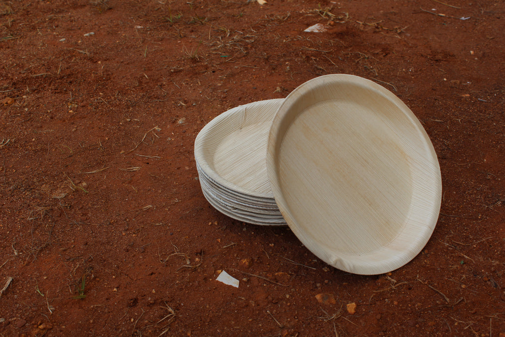 10 inch Round Plate Pack of 25