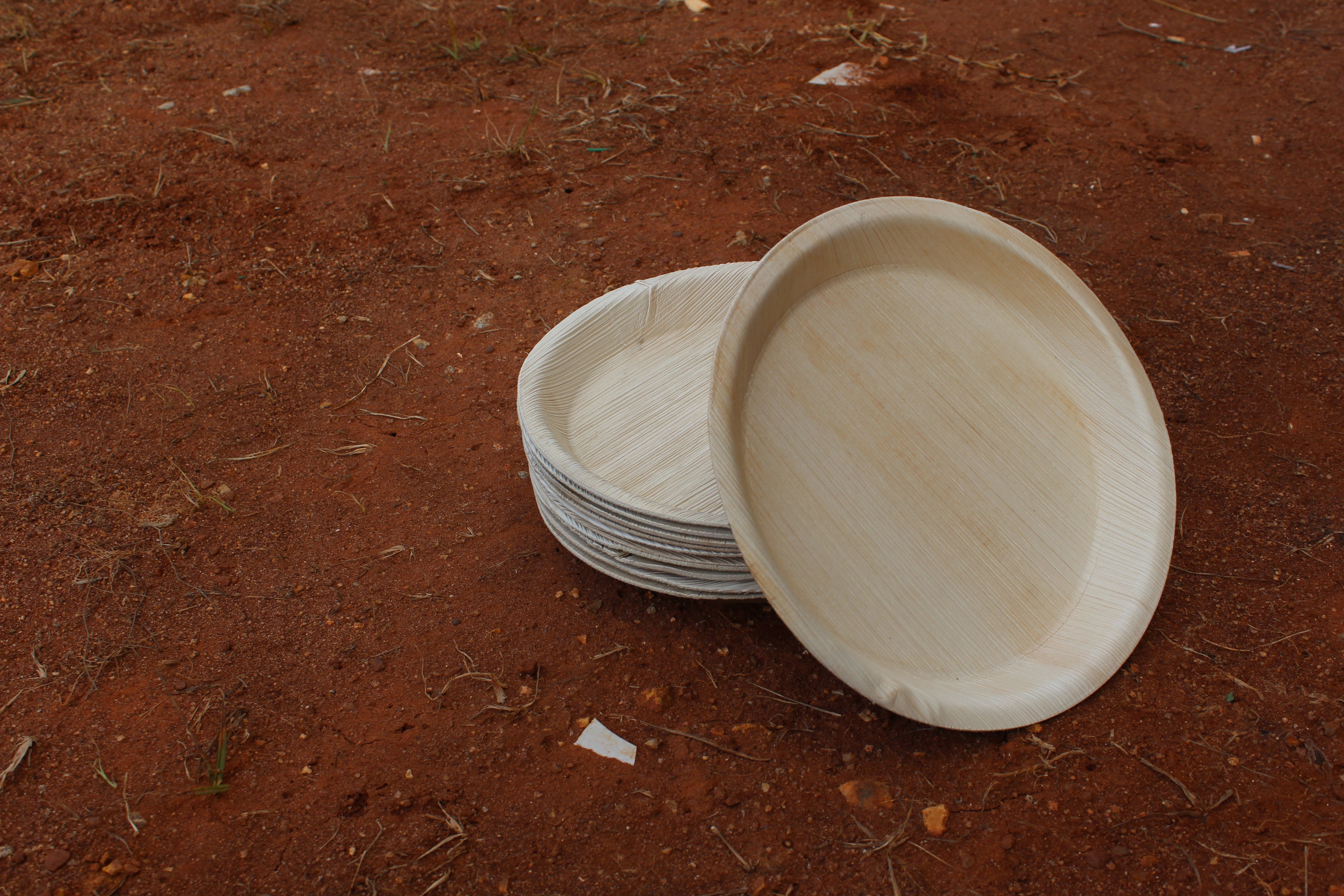 10 inch Round Plate Pack of 25