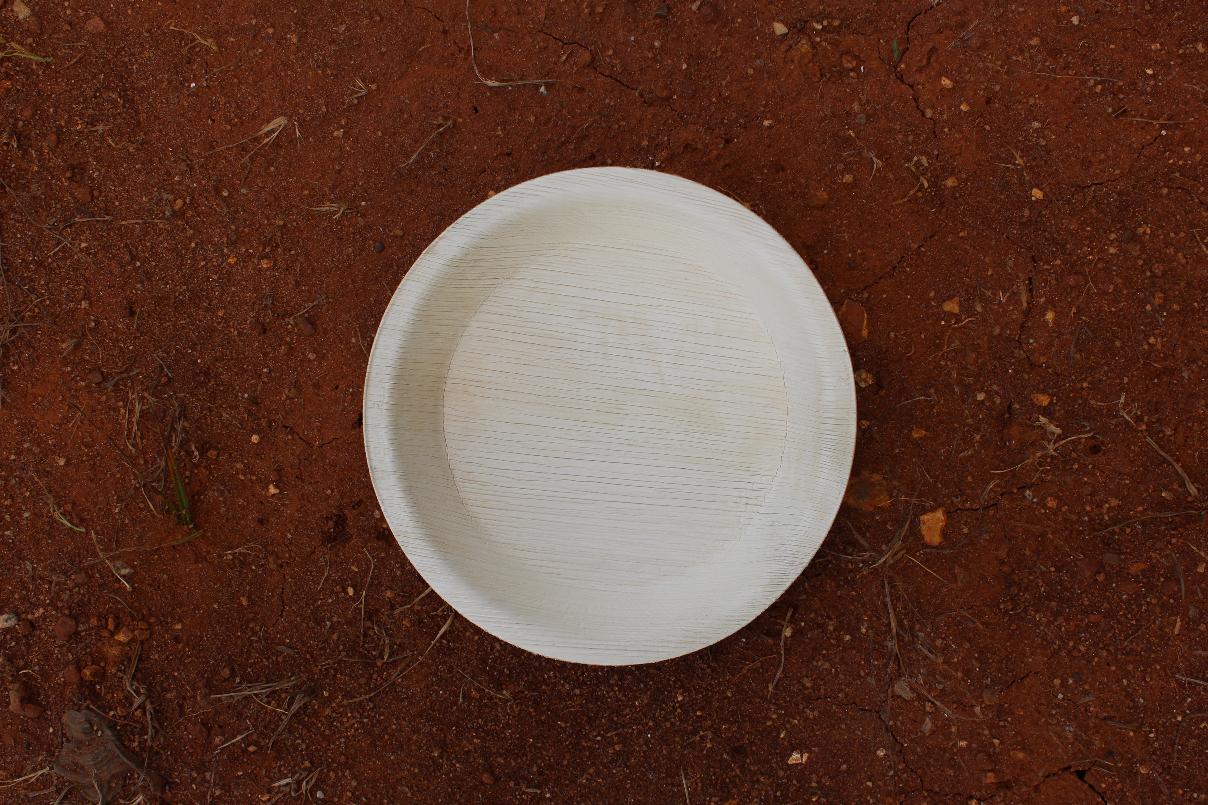 8 inch Round Plate Pack of 25