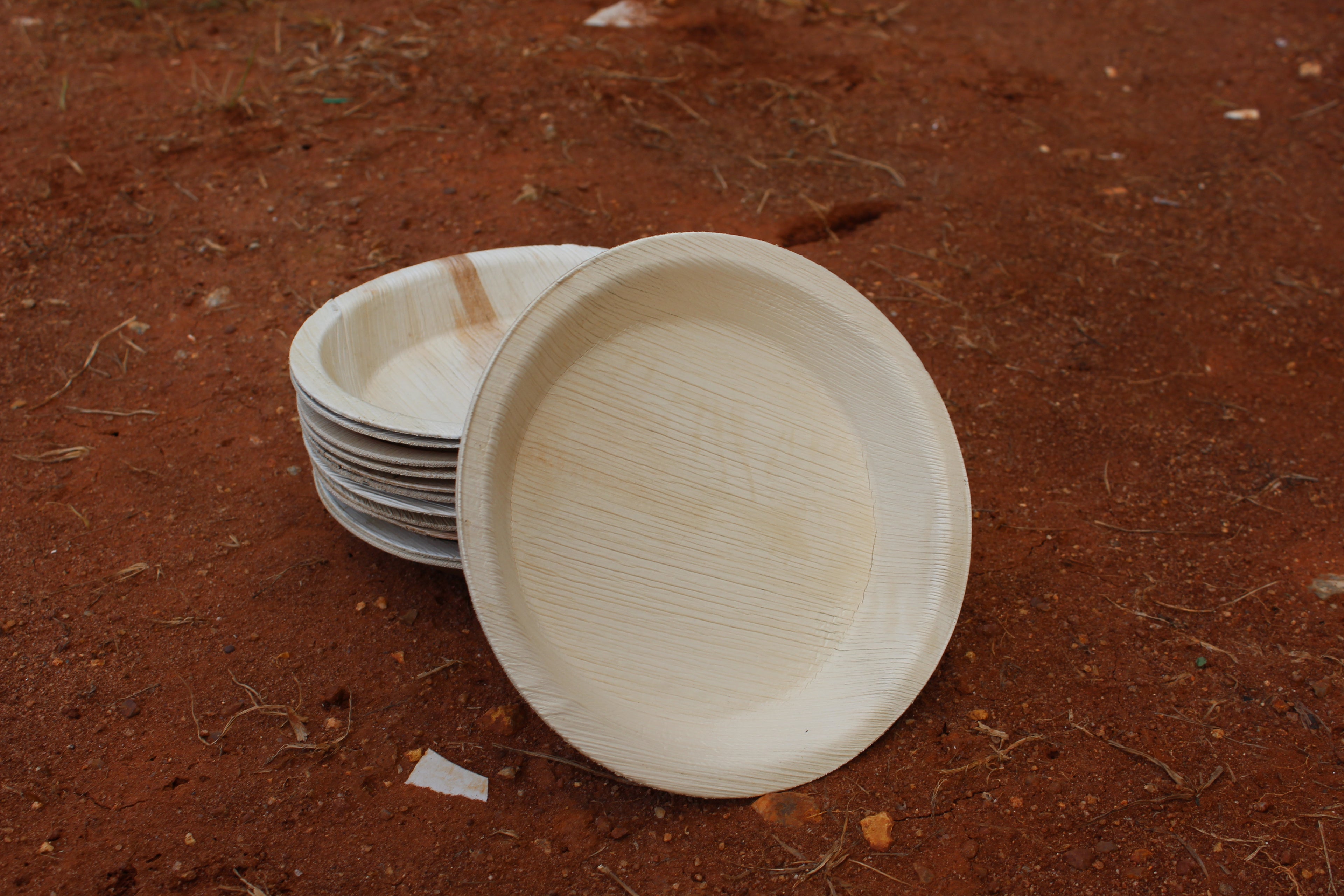 8 inch Round Plate Pack of 25