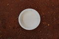 6 inch Round Plate Pack of 25