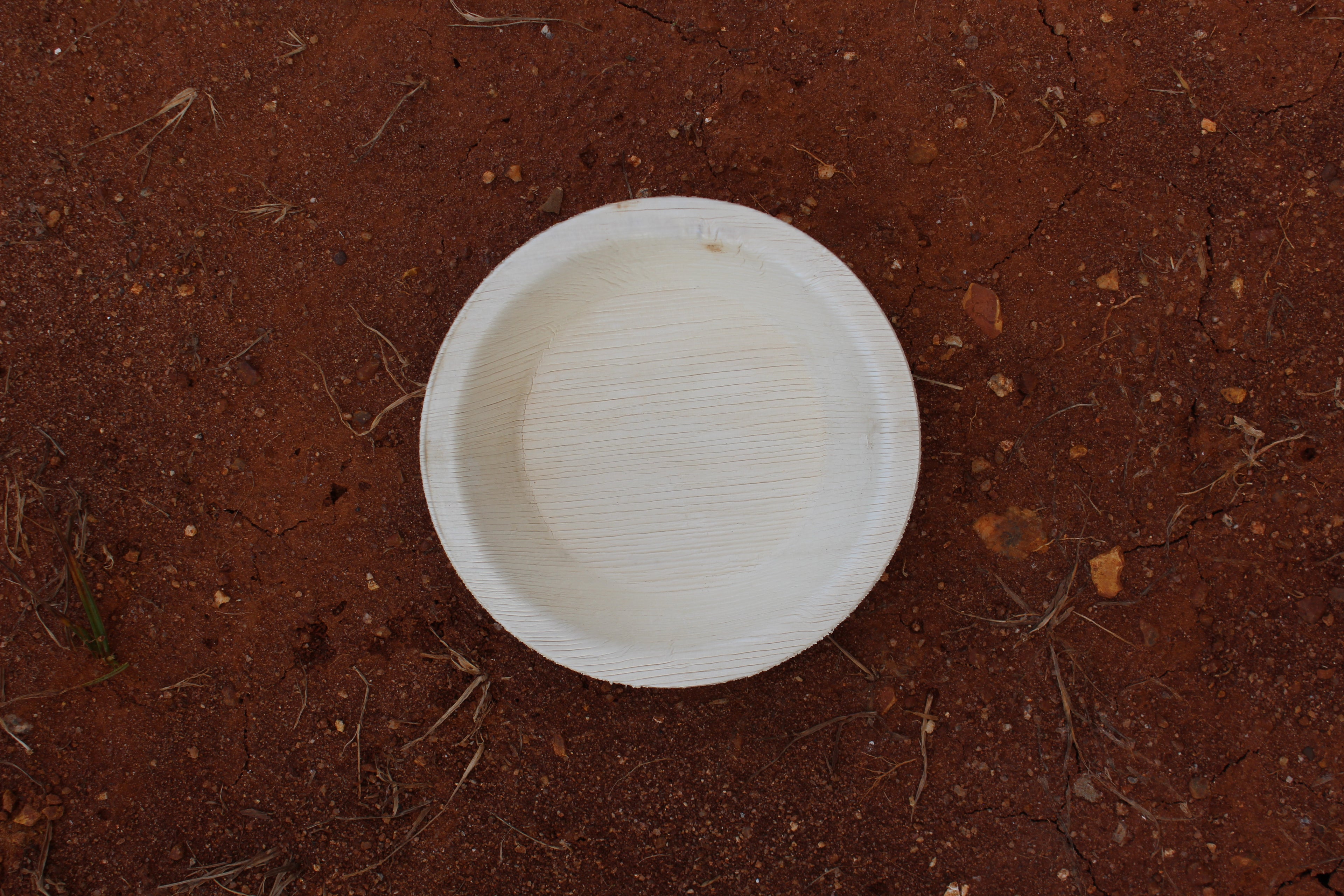 6 inch Round Plate Pack of 25