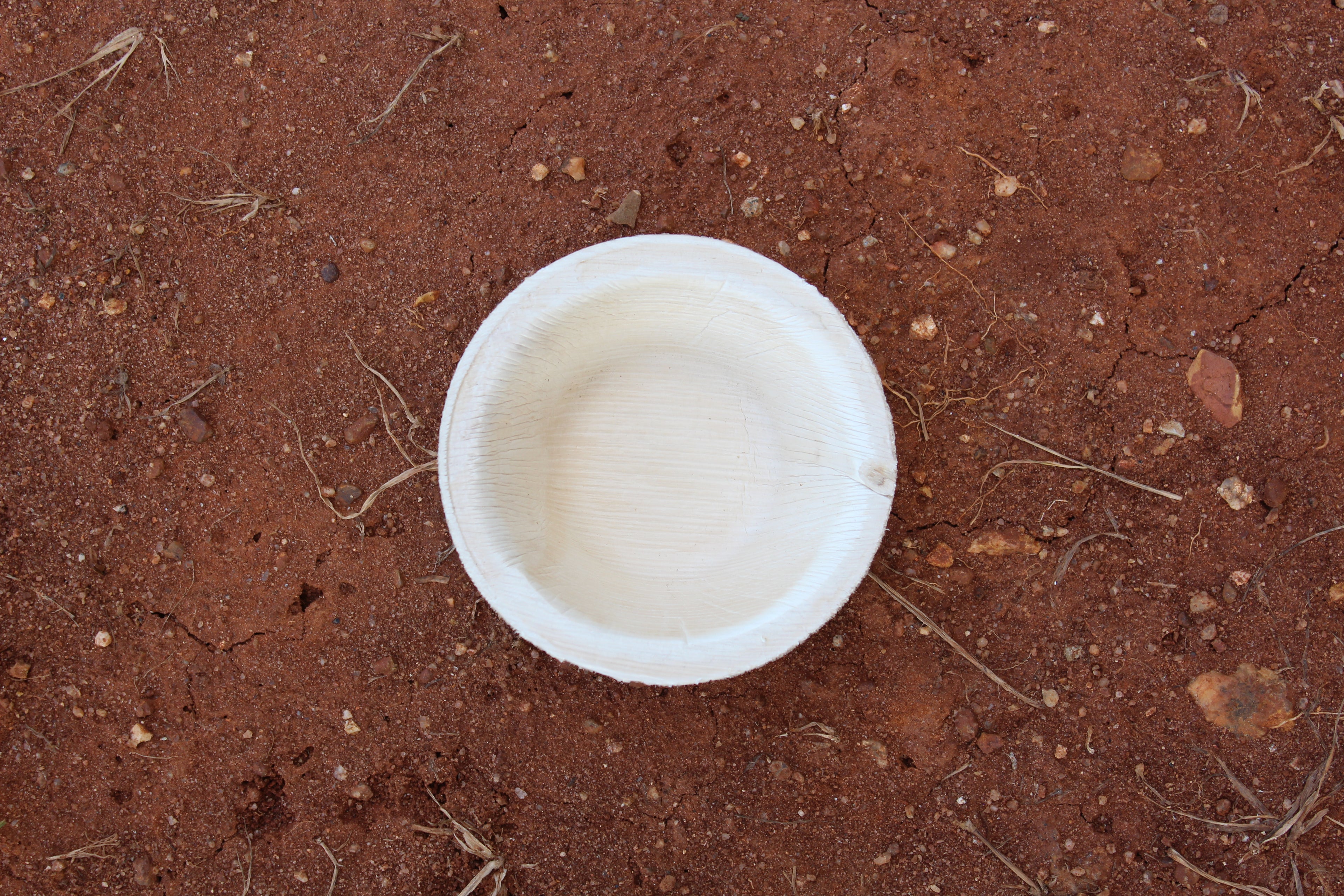 4 inch Round Areca Palm Leaf Bowl pack of 25