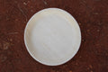 10 inch Round Shallow Areca Palm Leaf Plate Pack of 25