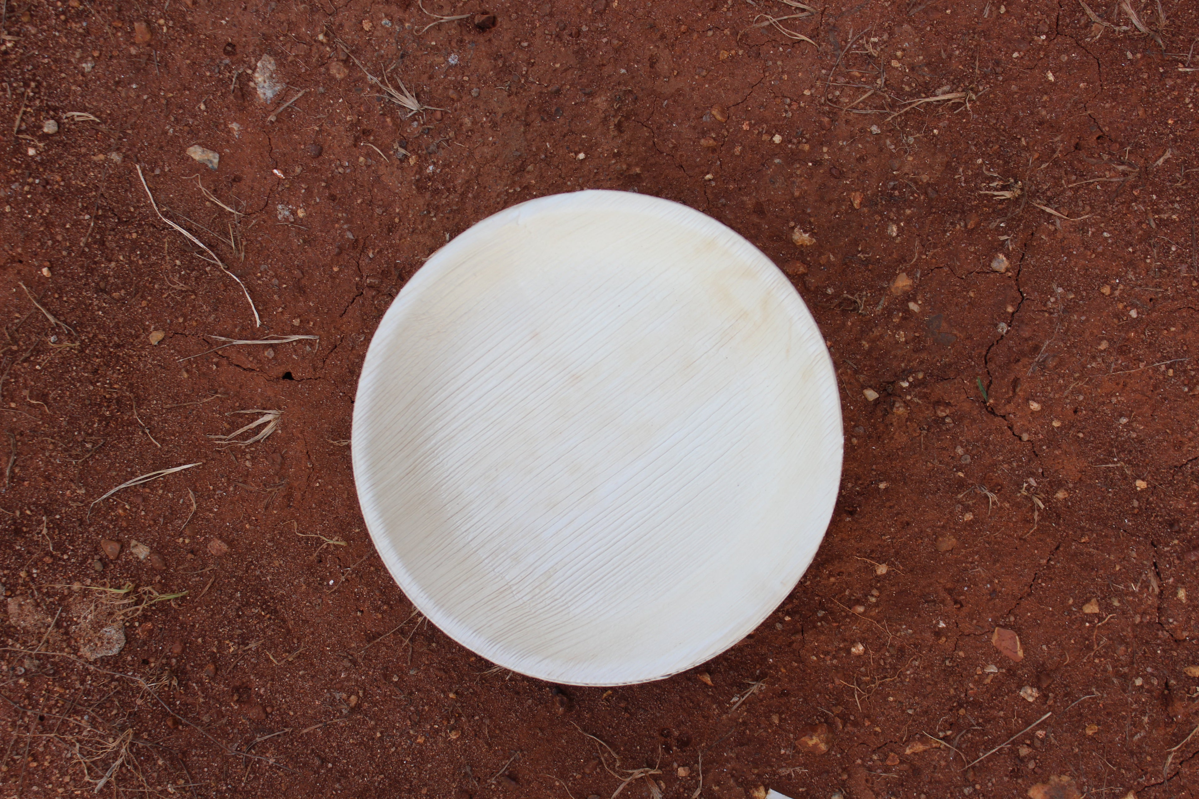 8 inch Round Shallow Areca Palm Leaf Plate Pack of 25