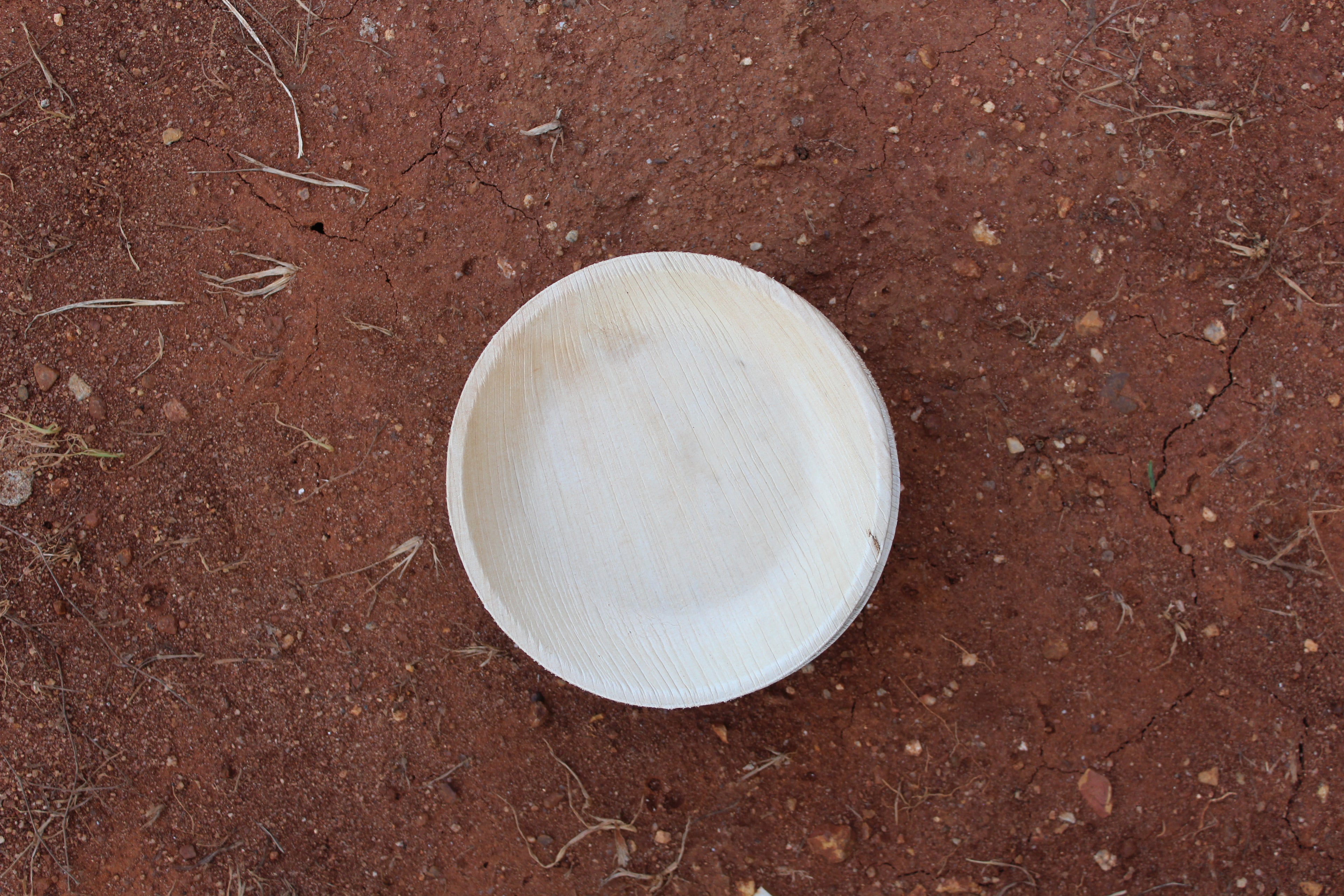 6 inch Round Shallow Areca Palm Leaf Plate Pack of 25