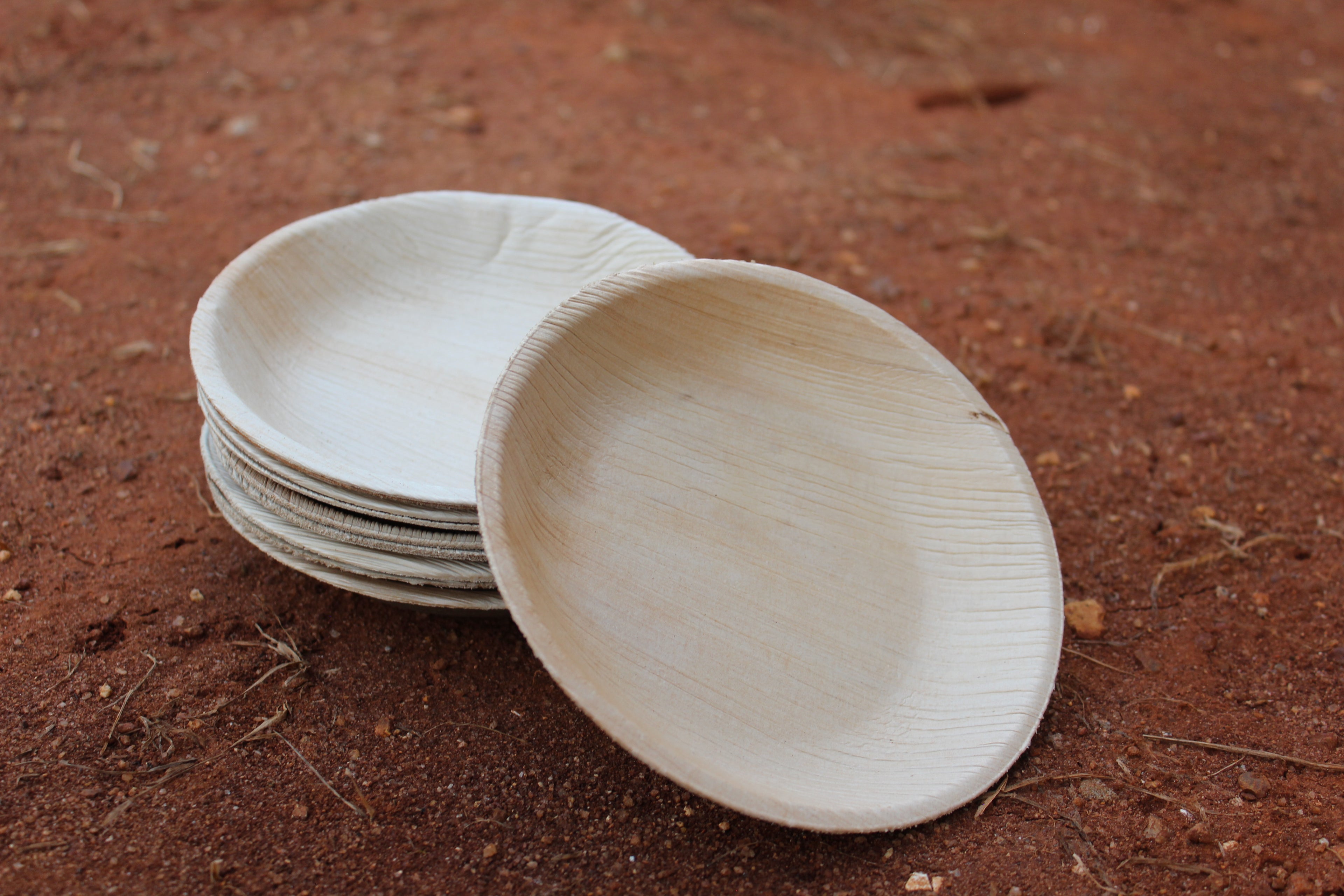 6 inch Round Shallow Areca Palm Leaf Plate Pack of 25