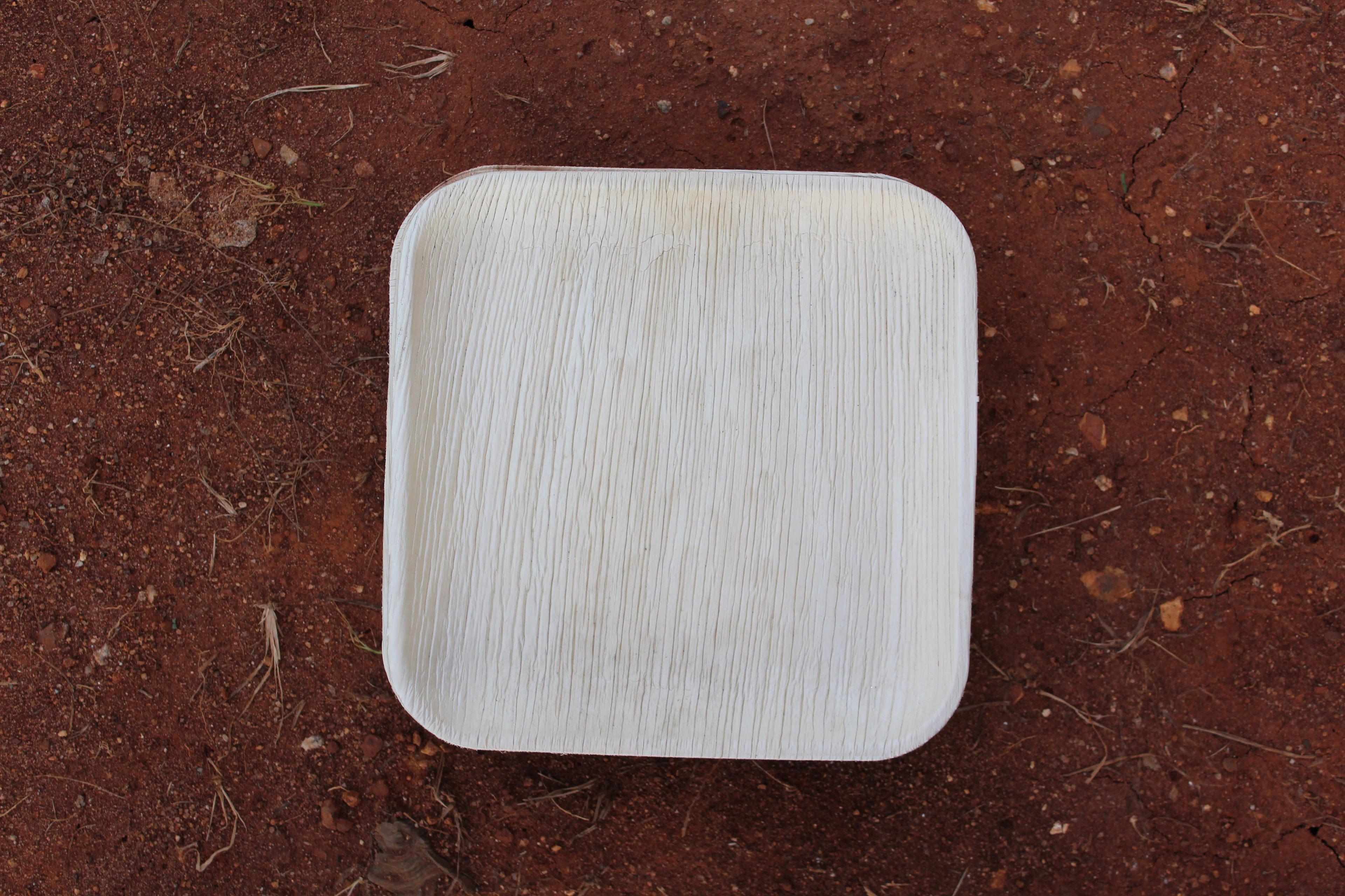 10 inch Square Areca Palm Leaf Plate Pack of 25