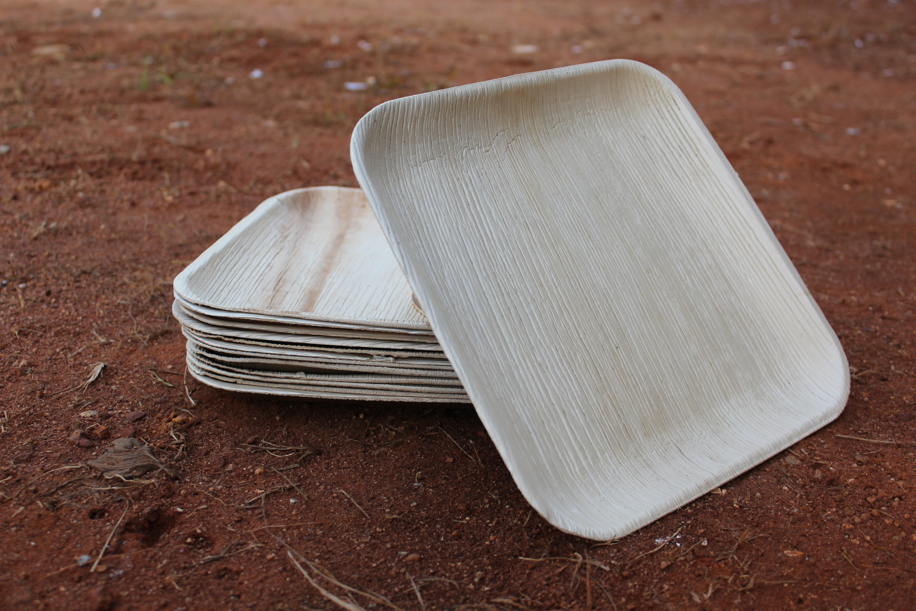 10 inch Square Areca Palm Leaf Plate Pack of 25
