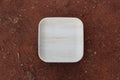 9 inch Square Areca Palm Leaf Plate Pack of 25