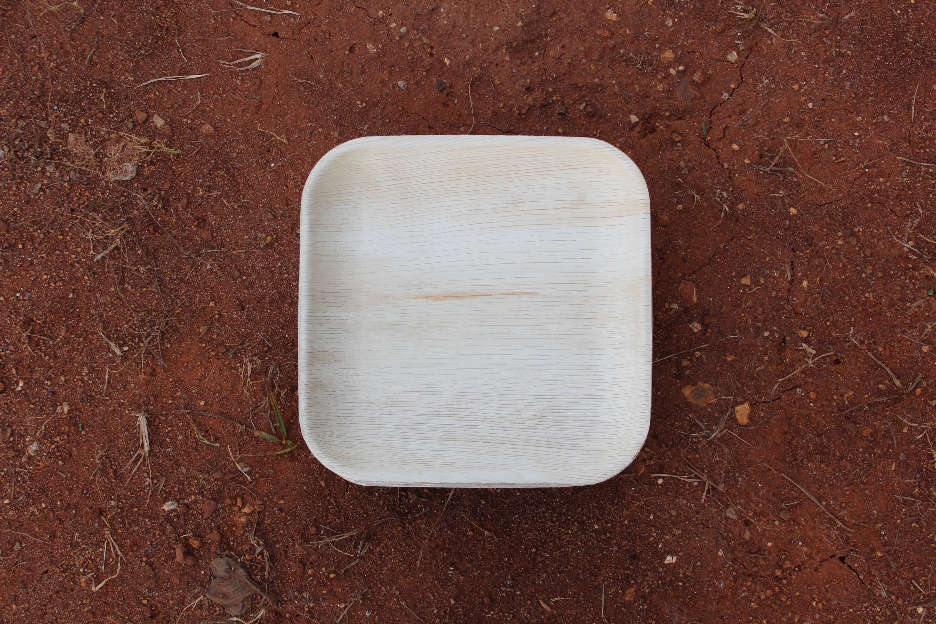 9 inch Square Areca Palm Leaf Plate Pack of 25