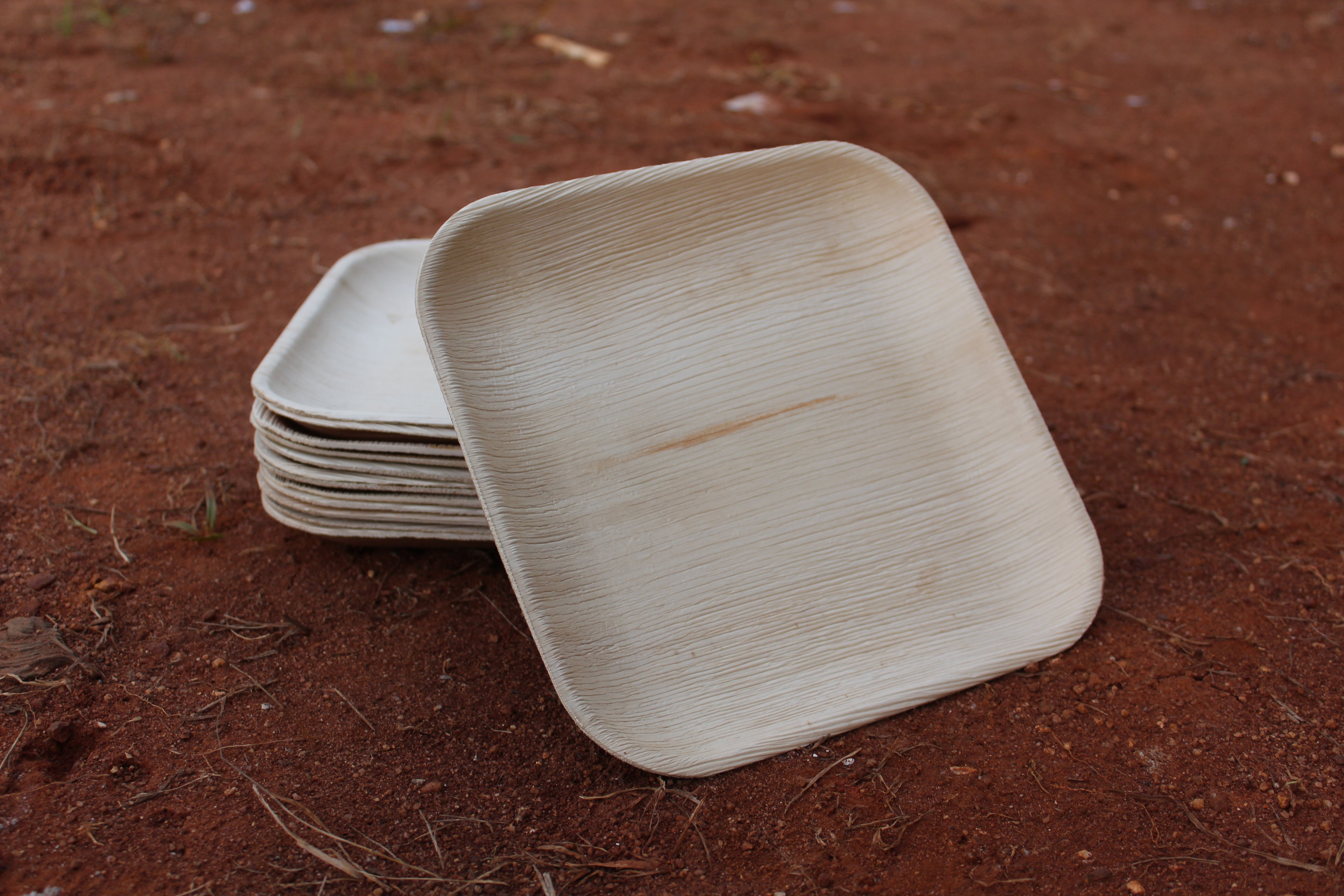 9 inch Square Areca Palm Leaf Plate Pack of 25