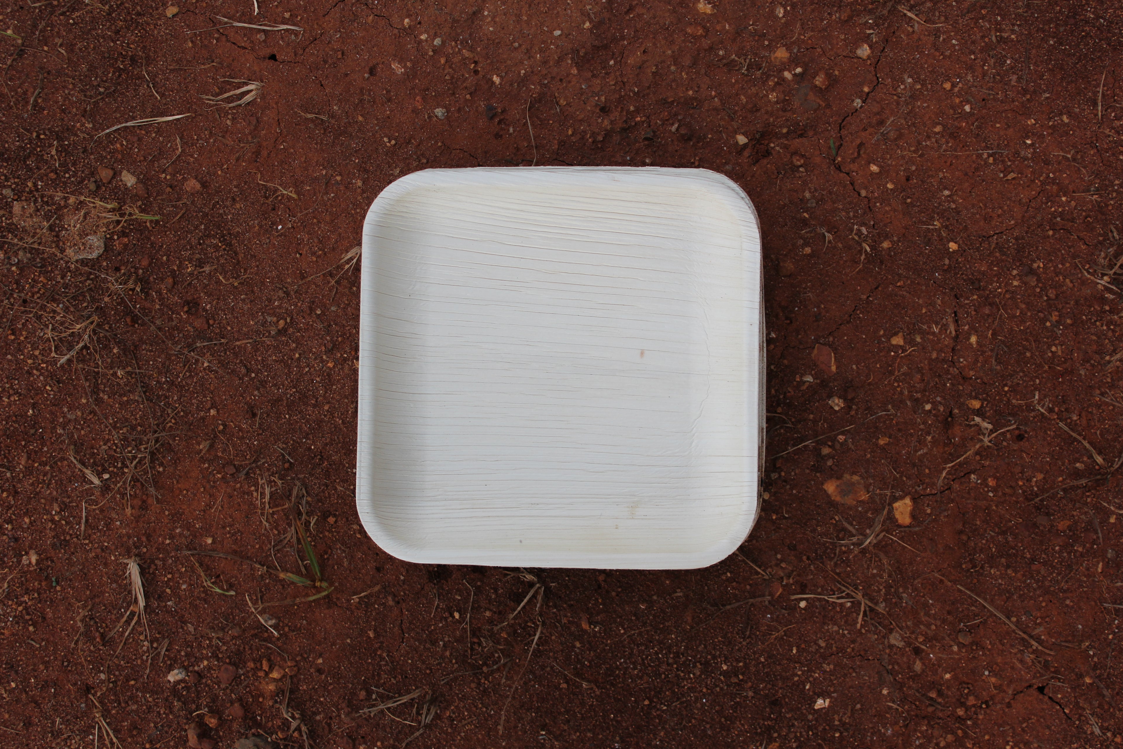 8 inch Square Plate Areca Palm Leaf Pack of 25