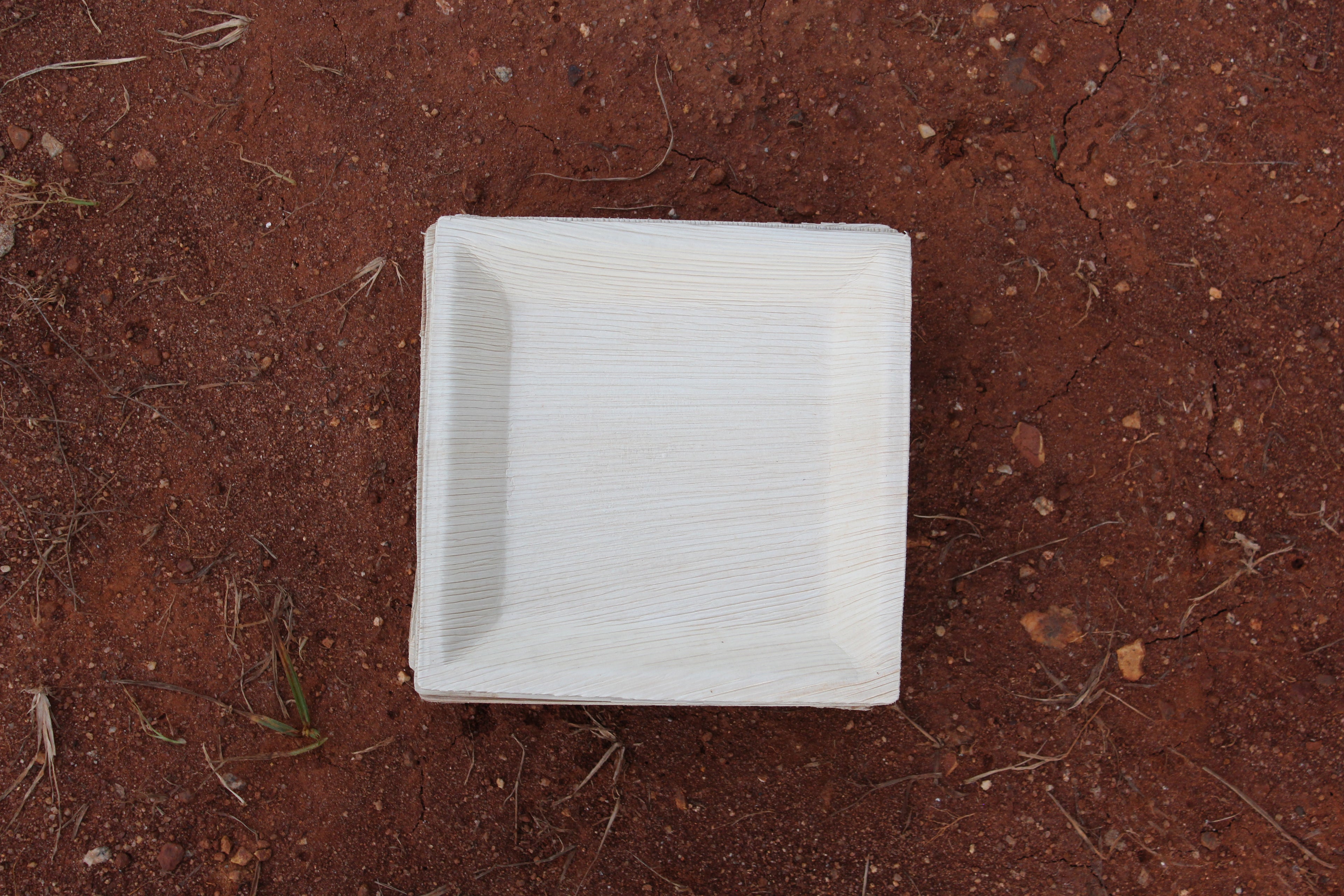 7 inch Square Quadra Areca Palm Leaf  Plate Pack of 25
