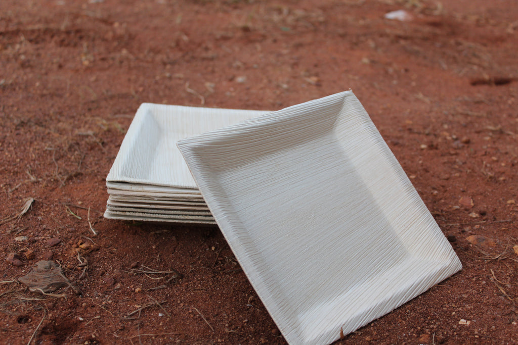 7 inch Square Quadra Areca Palm Leaf  Plate Pack of 25