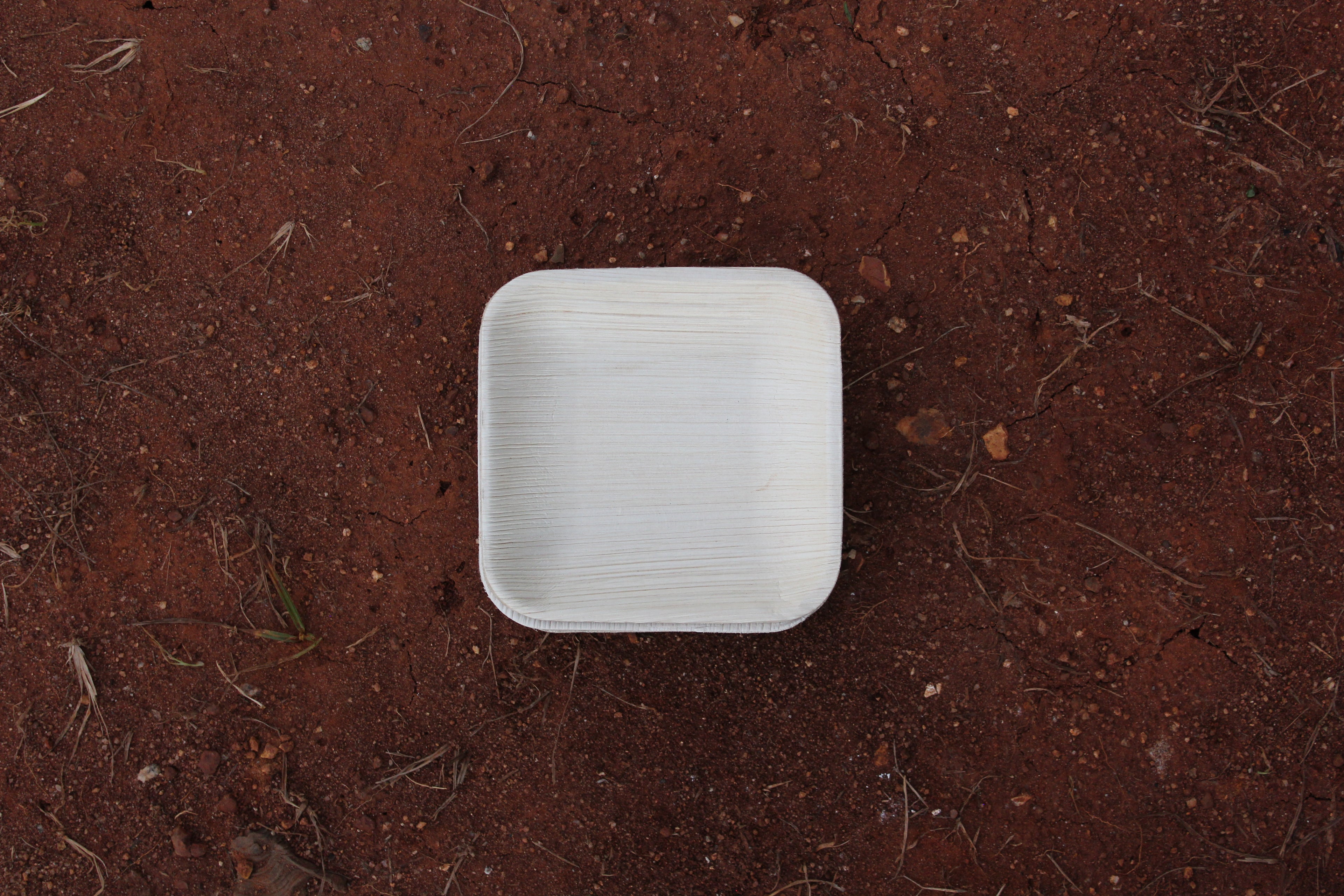 6 inch Square Areca Palm Leaf  Plate pack of 25