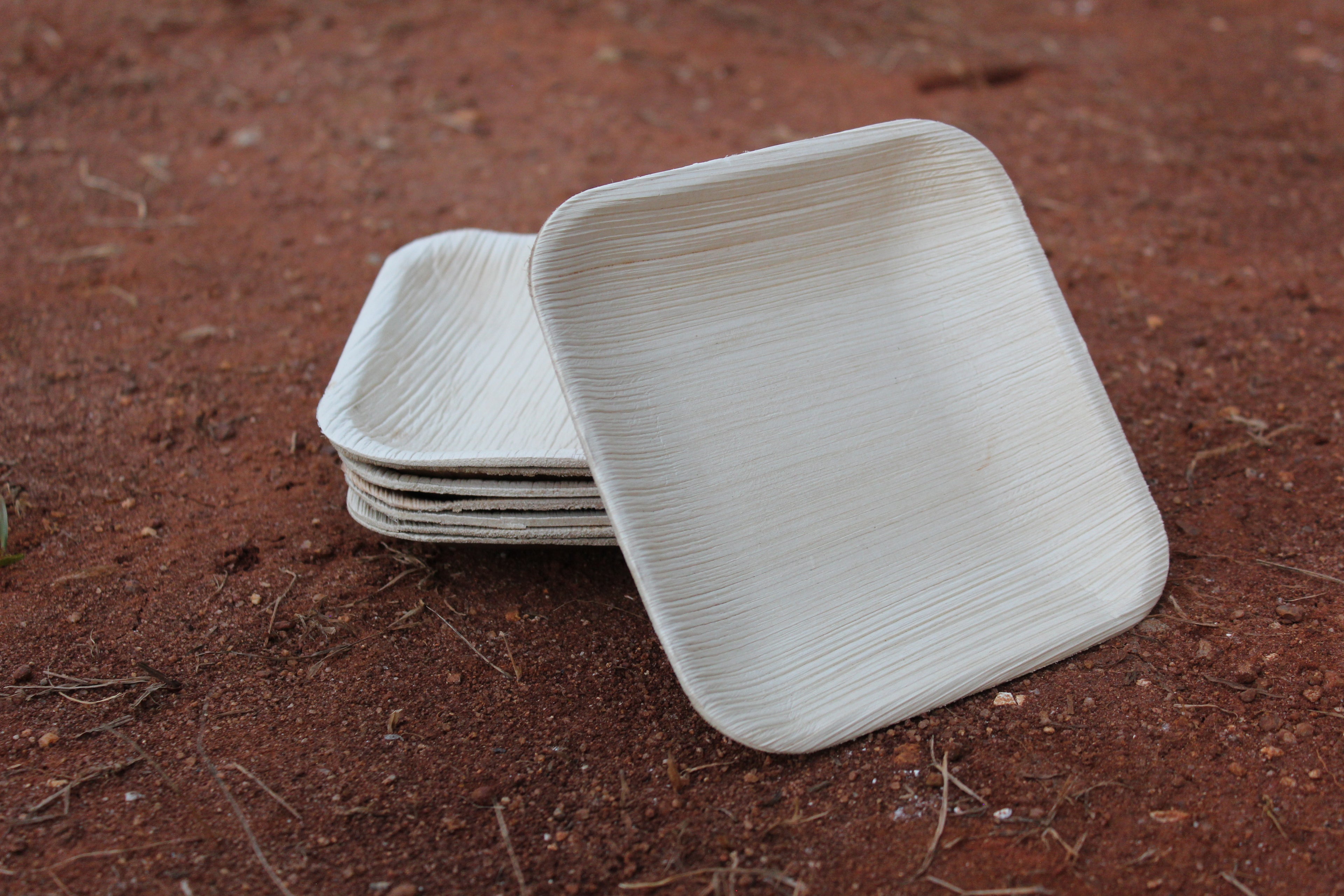 6 inch Square Areca Palm Leaf  Plate pack of 25