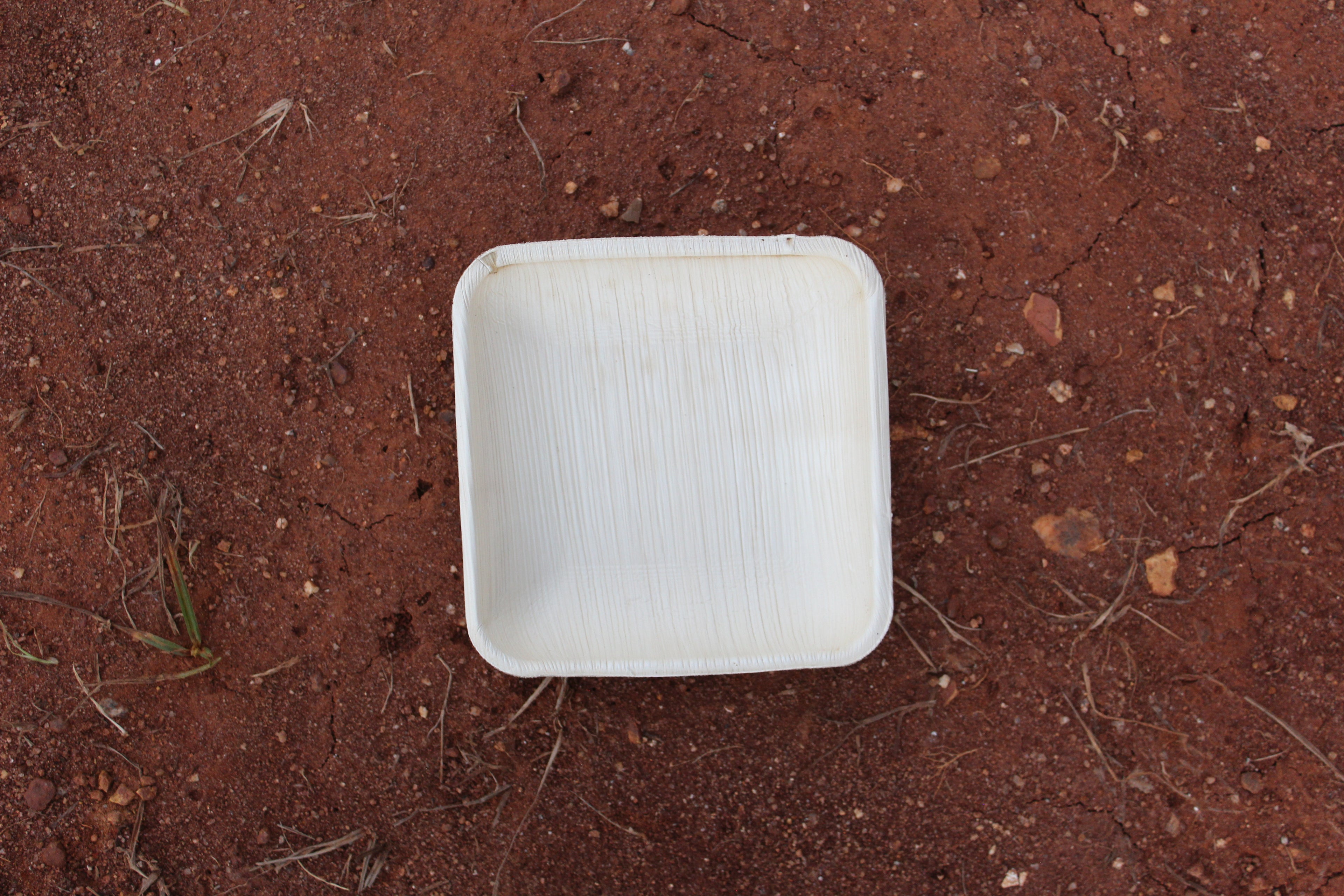 5.5 inch Square Areca Palm Leaf Bowl Pack of 25