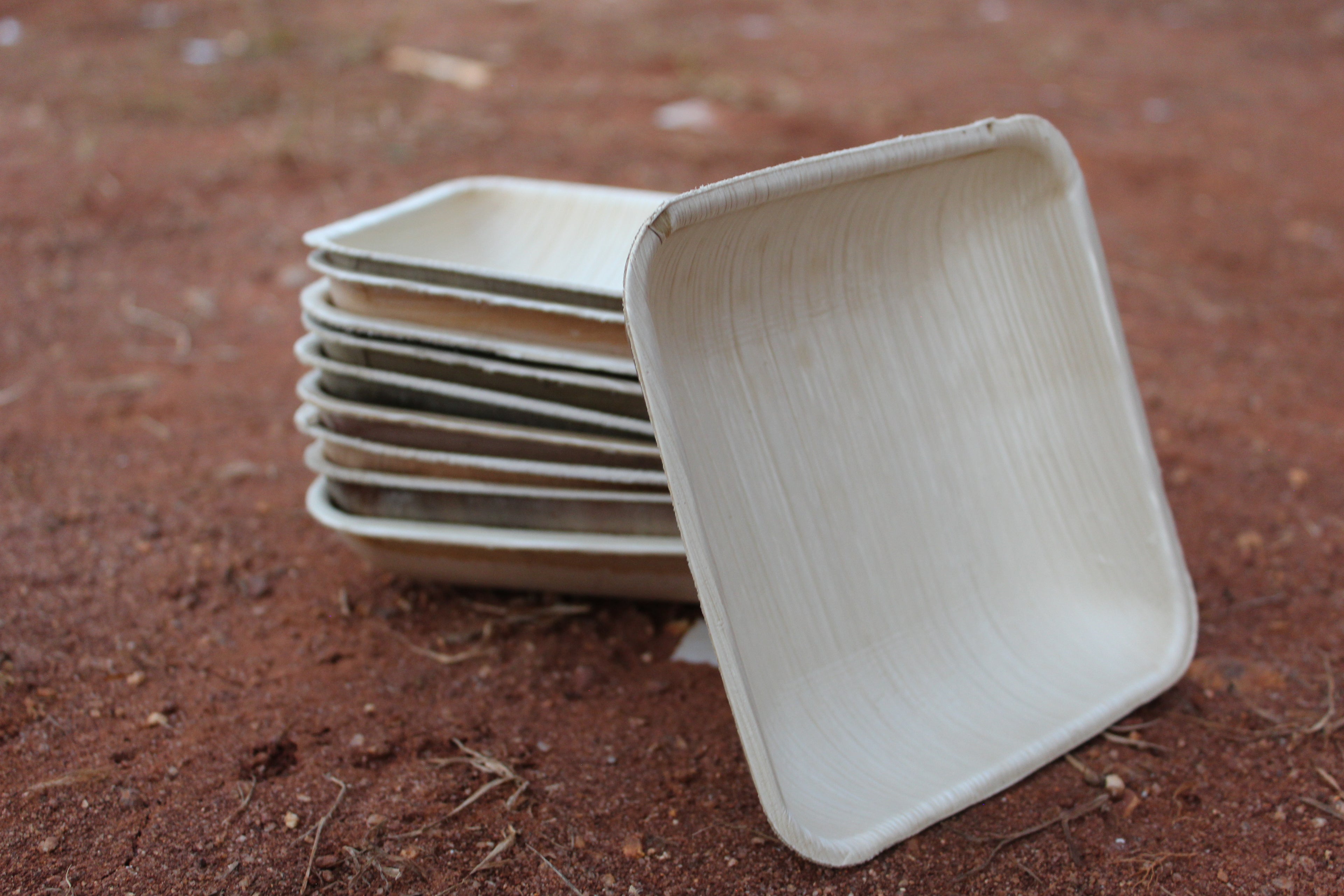 5.5 inch Square Areca Palm Leaf Bowl Pack of 25