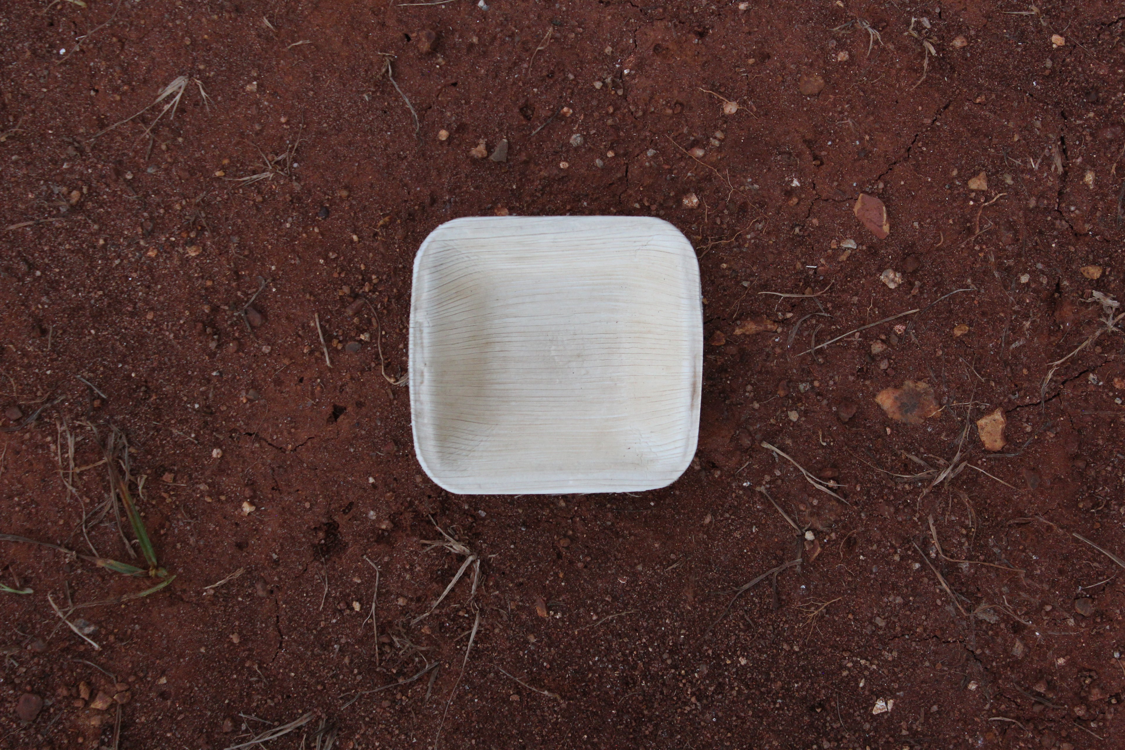 4 inch Square Deep Areca Palm Leaf Bowl Pack of 25
